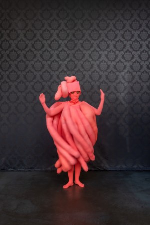 clabin coral wing -11